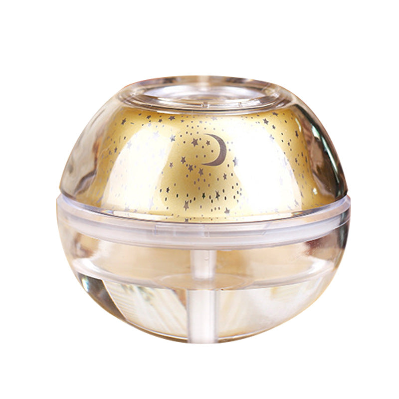 Projection lamp humidifier